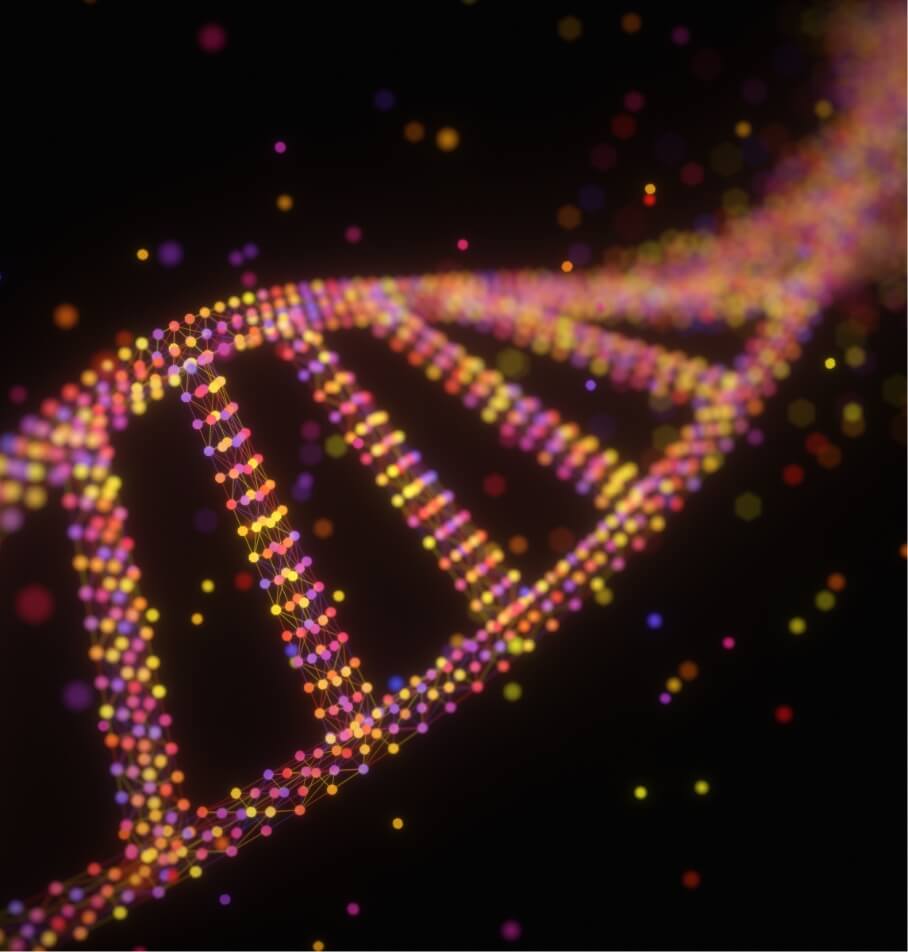 dna-molecule-structure-2024-12-06-05-42-31-utc (1)