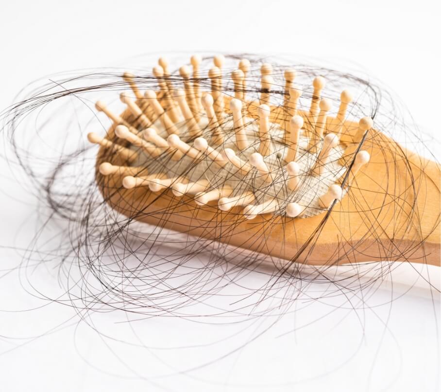 hair-loss-fall-with-comb-bush-serious-problem-heal-2023-11-27-04-50-30-utc (1) (1)